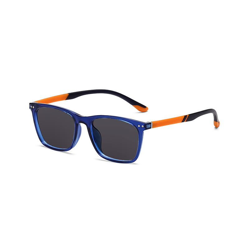 E3003 Sunglasses